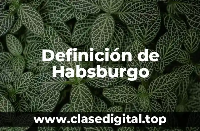 Definición de Habsburgo