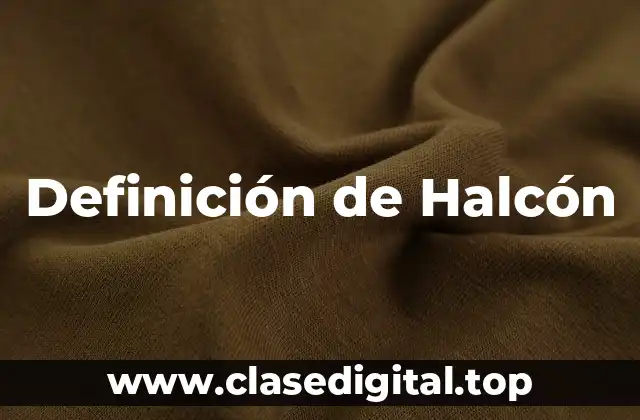 Definición de Halcón