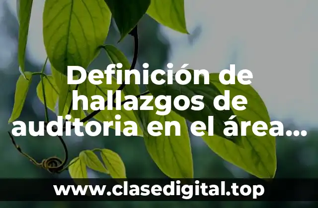 Definición de hallazgos de auditoria en el área de tesoreria