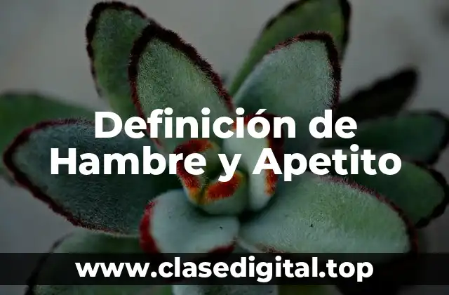 Definición de Hambre y Apetito