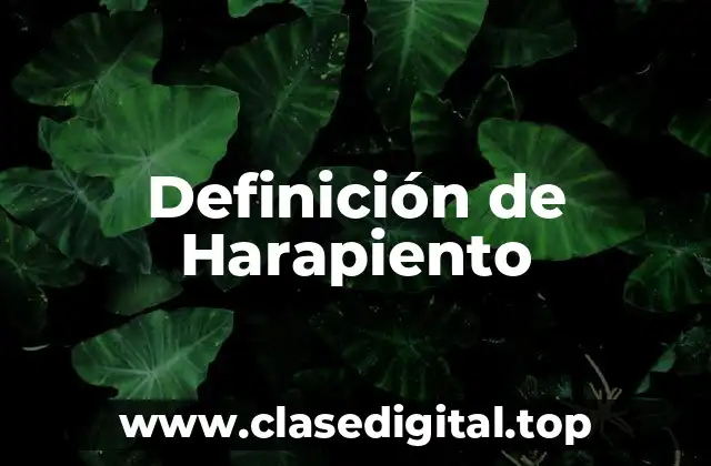 Definición de Harapiento
