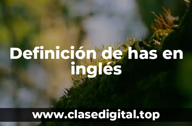 Definición de has en inglés