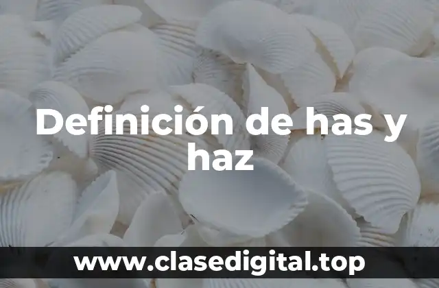 Definición de has y haz