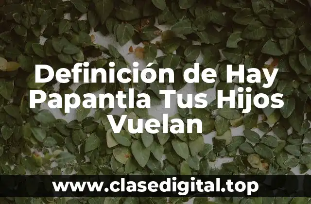 Definición de Hay Papantla Tus Hijos Vuelan