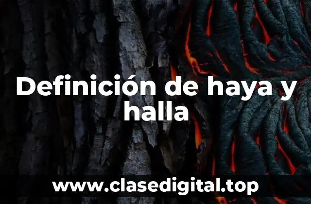 Definición de haya y halla