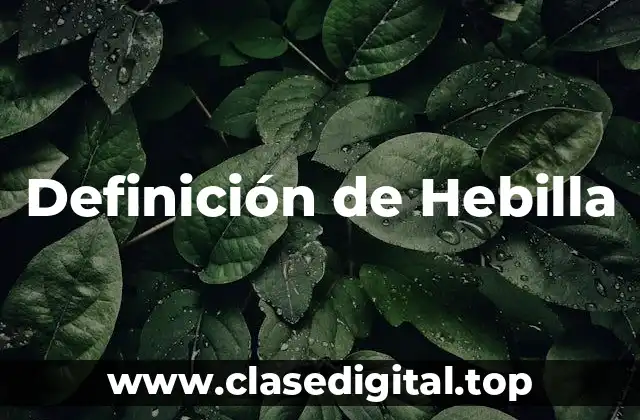 Definición de Hebilla