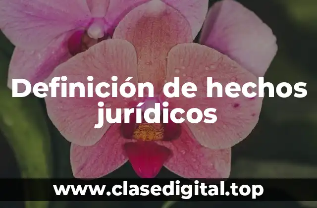 Definición técnica de hechos jurídicos