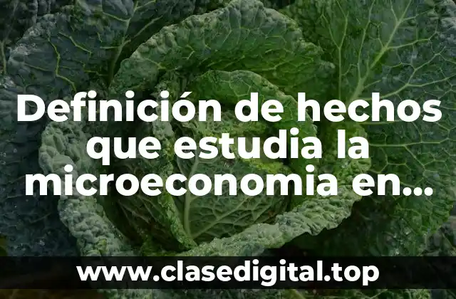 Ejemplos de hechos que estudia la microeconomía en Culiacán