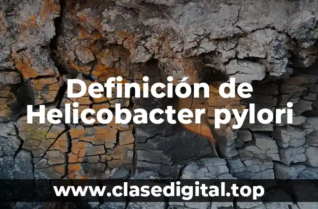 Definición de Helicobacter pylori