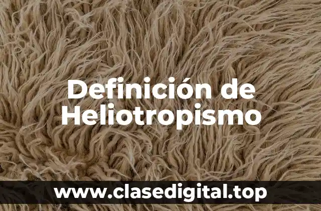 Definición de Heliotropismo