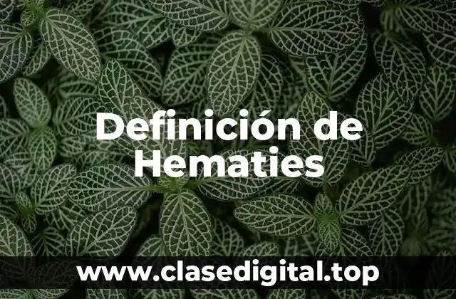 Definición de Hematies