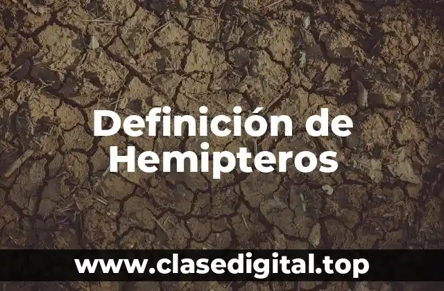 Definición de Hemipteros