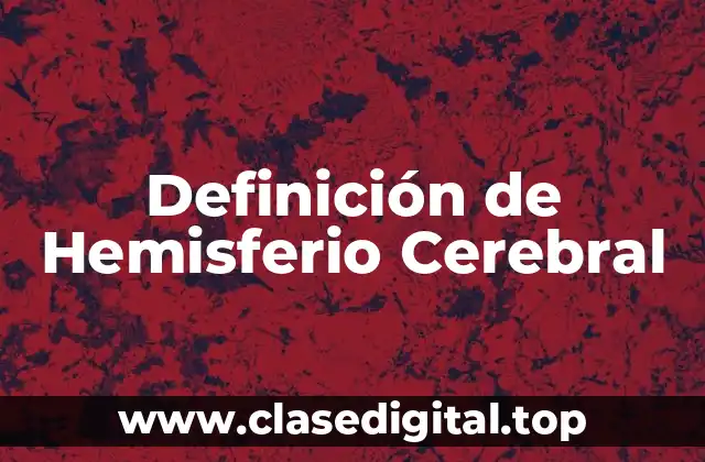 Definición de Hemisferio Cerebral