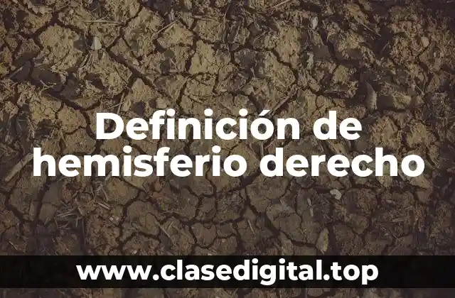 Definición de hemisferio derecho