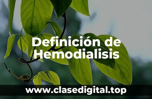Definición de Hemodialisis