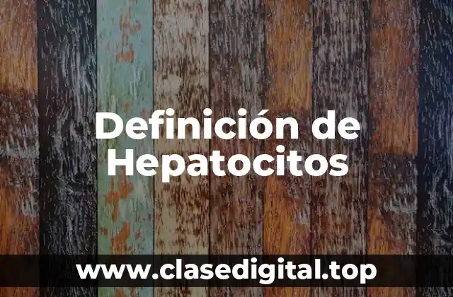 Definición de Hepatocitos