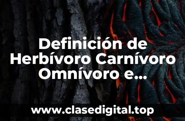 Definición de Herbívoro Carnívoro Omnívoro e Insectívoro