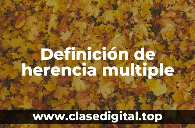 Definición de herencia multiple