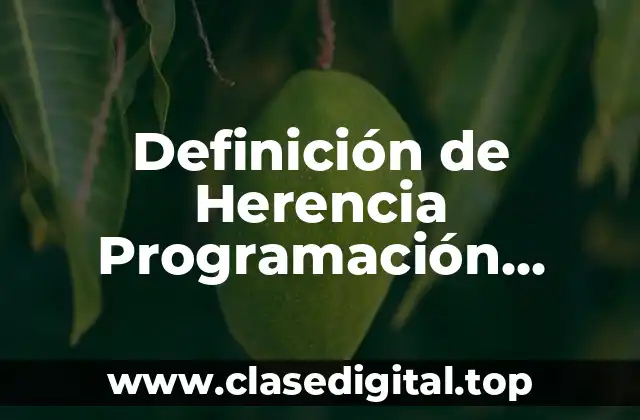 Definición técnica de Herencia en Programación Orientada a Objetos