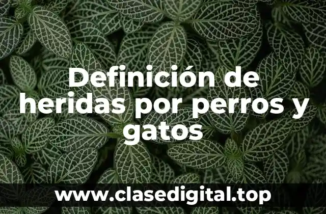 Definición de heridas por perros y gatos