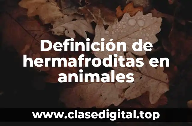Ejemplos de hermafroditas en animales