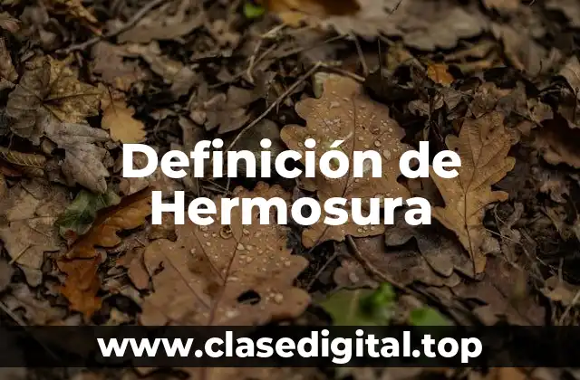 Definición Técnica de Hermosura