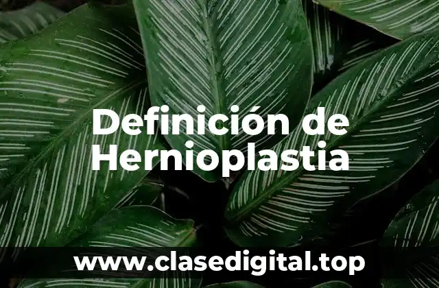 Definición de Hernioplastia