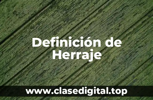 Definición de Herraje