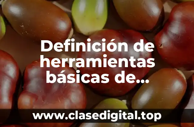Definición de herramientas básicas de presentaciones digitales