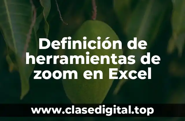 Definición de herramientas de zoom en Excel