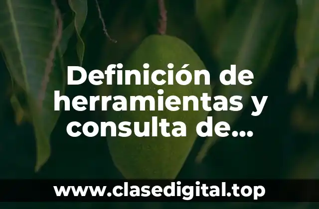 Definición de herramientas y consulta de información