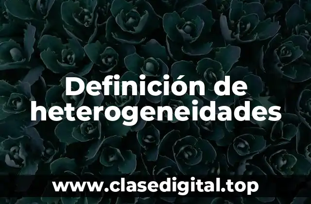 Definición de heterogeneidades