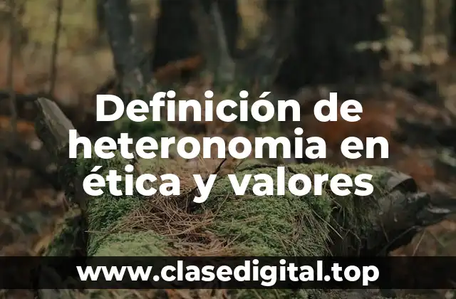 Definición de heteronomia en ética y valores