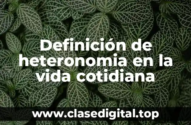 Definición de heteronomia en la vida cotidiana
