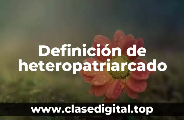 Definición de heteropatriarcado