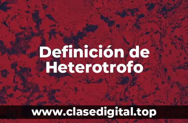 Definición de Heterotrofo