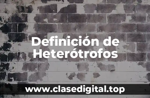 Definición de Heterótrofos