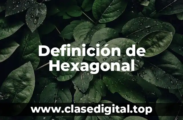 Definición de Hexagonal