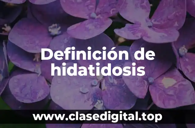 Definición de hidatidosis