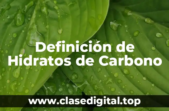 Definición de Hidratos de Carbono