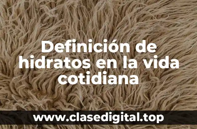 Definición de hidratos en la vida cotidiana