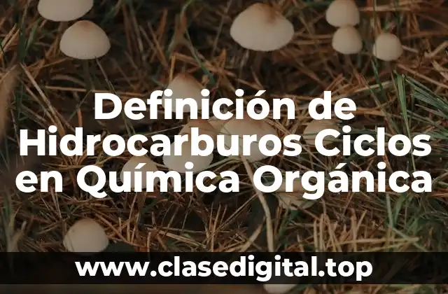 Definición de Hidrocarburos Ciclos en Química Orgánica