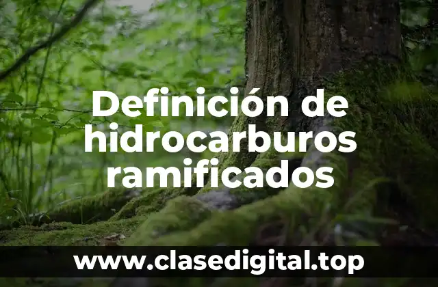 Definición de hidrocarburos ramificados