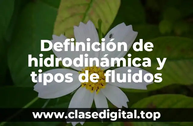 Definición de hidrodinámica y tipos de fluidos