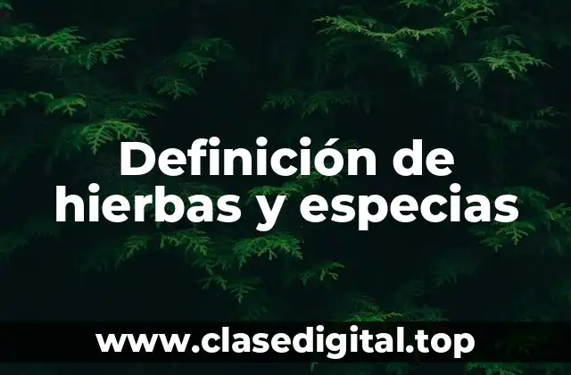 Definición de hierbas y especias