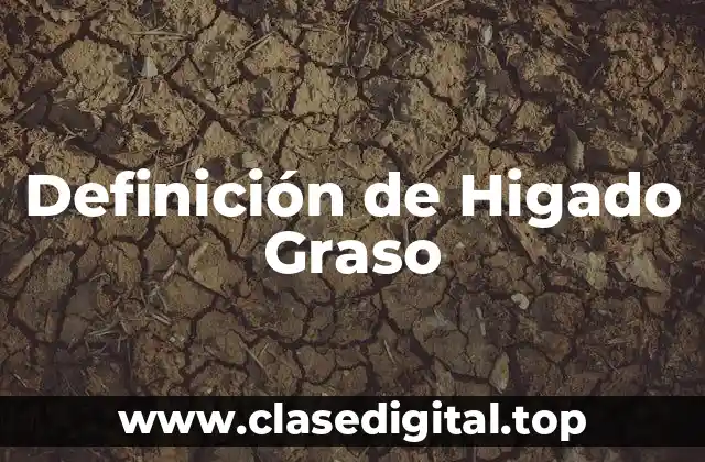 Definición de Higado Graso