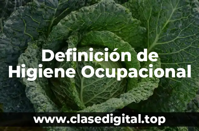 Definición Técnica de Higiene Ocupacional