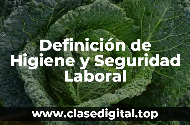 Definición de Higiene y Seguridad Laboral