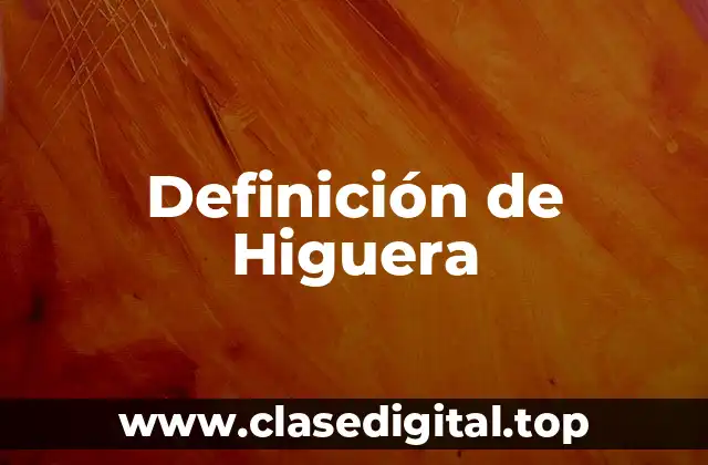 Definición de Higuera
