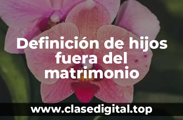 Definición de hijos fuera del matrimonio